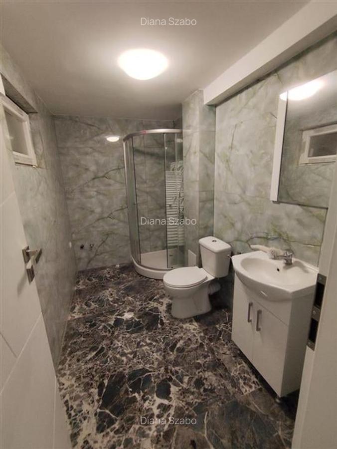 RECO Vila la cheie compartimentata in 16 ap in zona Spitalul Judetean - 4