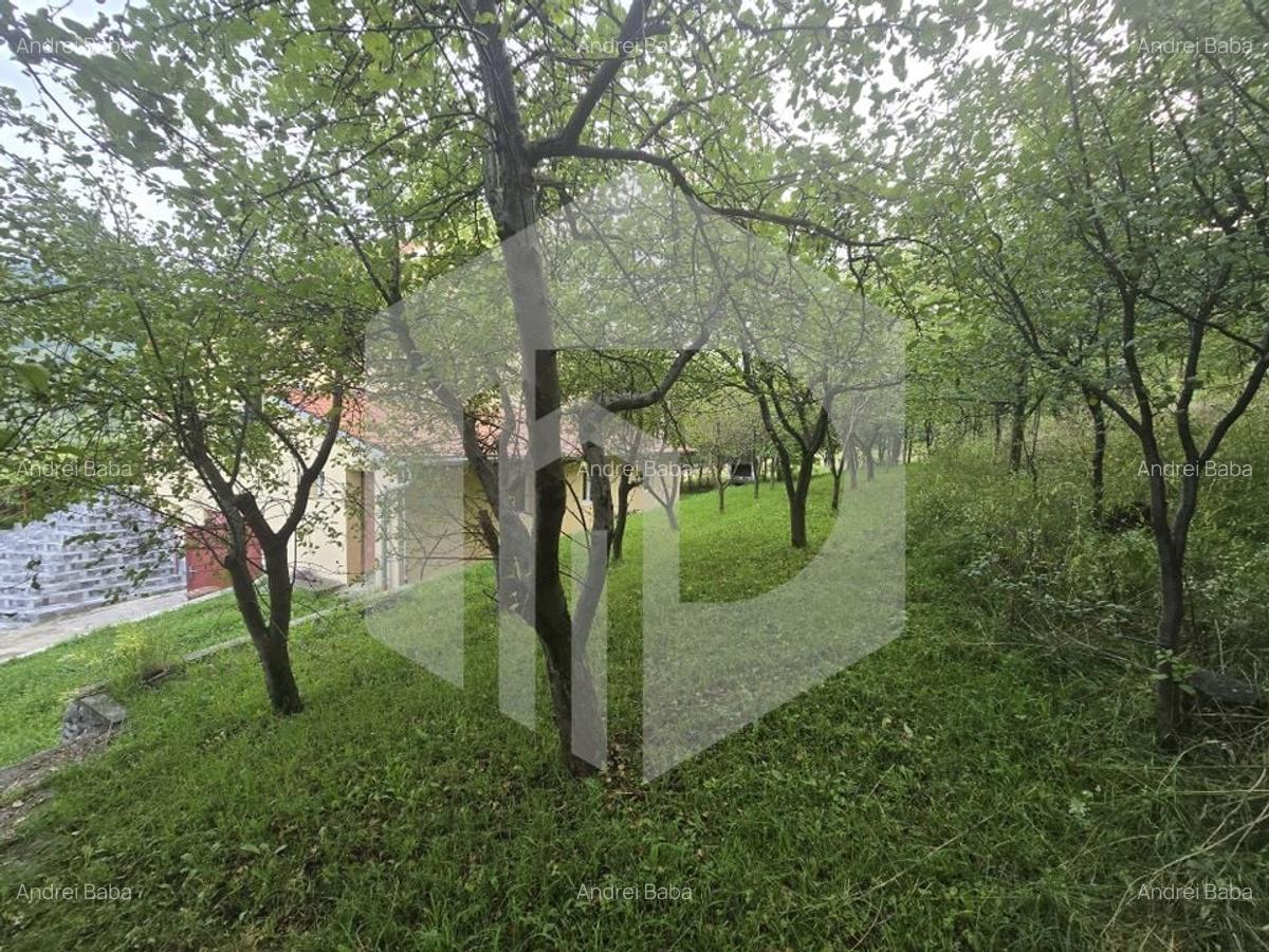 Casa individuala 4 camere teren 3825 mp Cisnadioara - 10