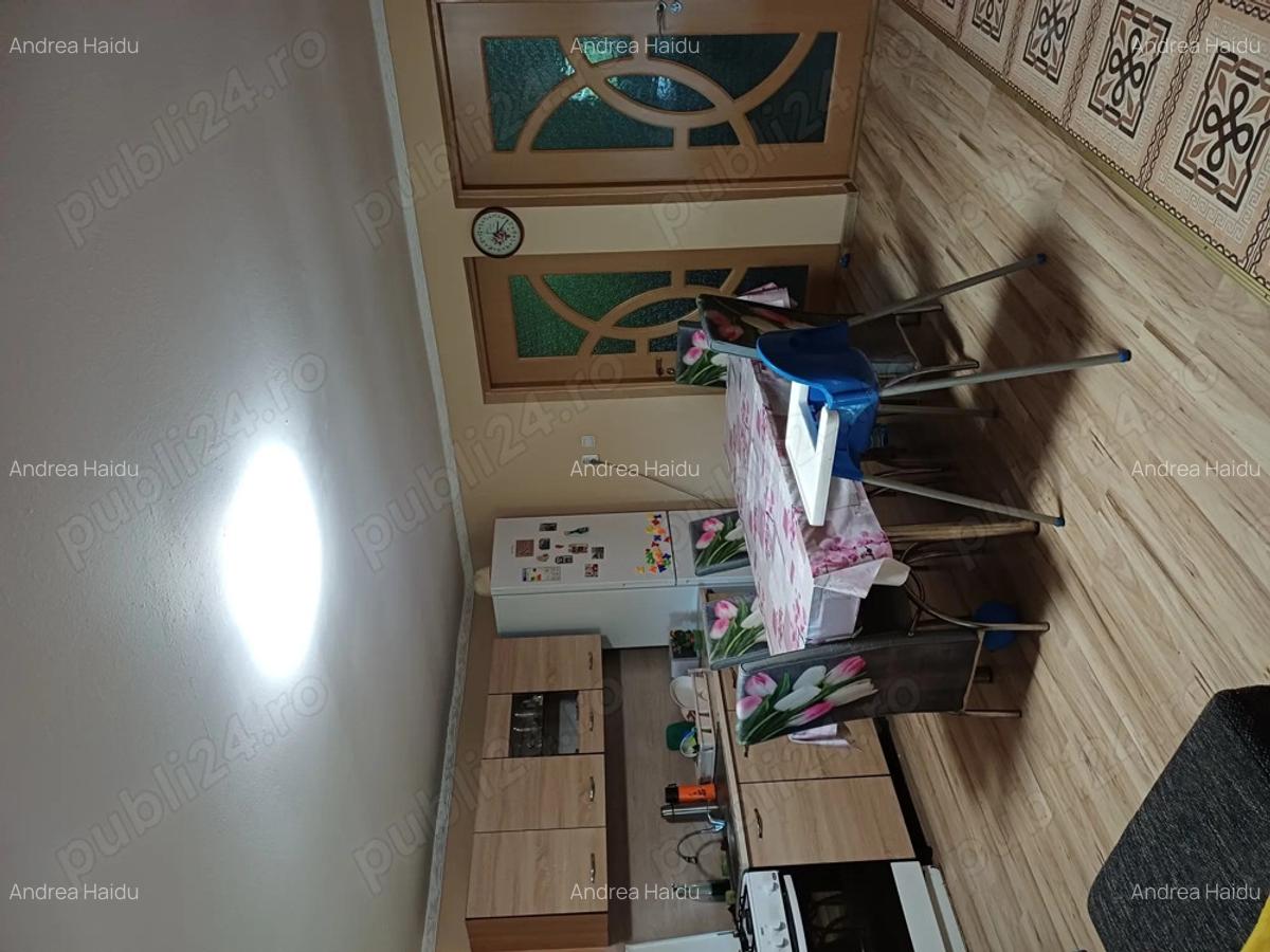 Ferma de vaci de vanzare - 2