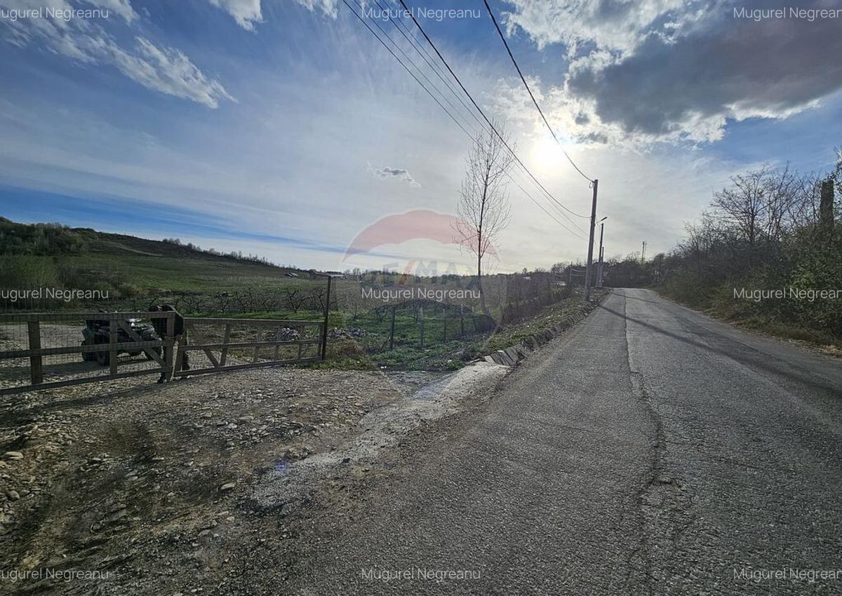 15 parcele de 1000 mp de vanzare in Breaza Prahova- toate... - 7 15 parcele de 1000 mp de vanzare in Breaza Prahova- toate... - 7
