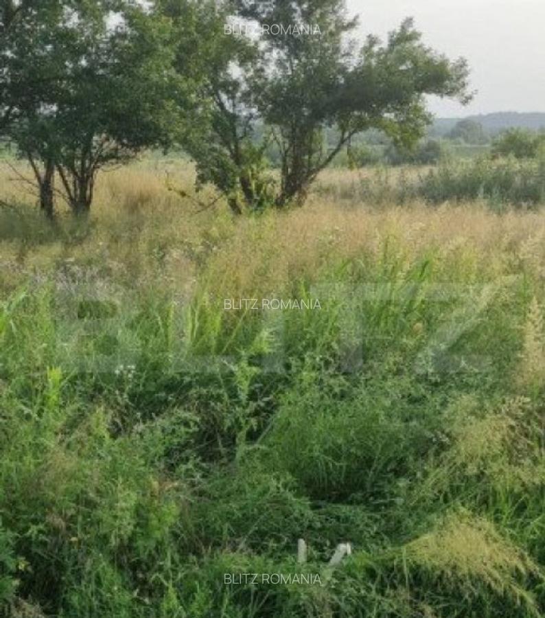 Teren extravilan, zona industriala, 3300 mp - 8