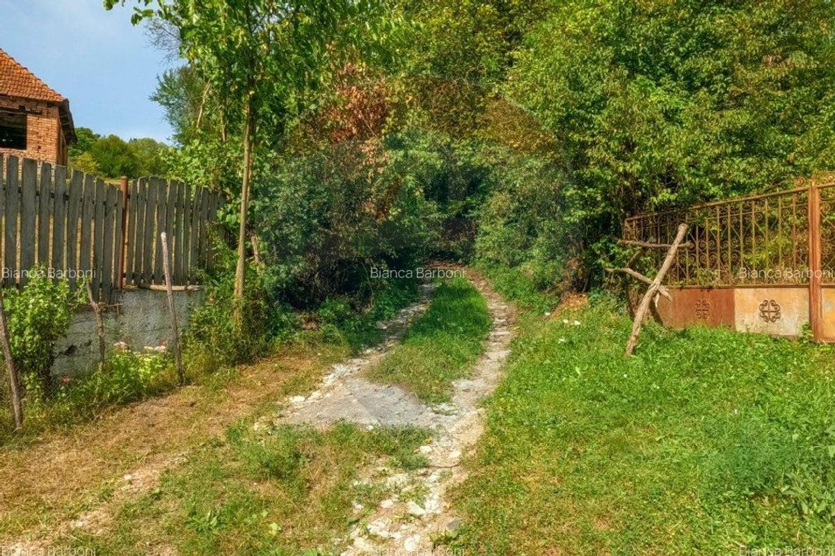 Casa veche cu teren ,Varmaga jud Hunedoara - 8