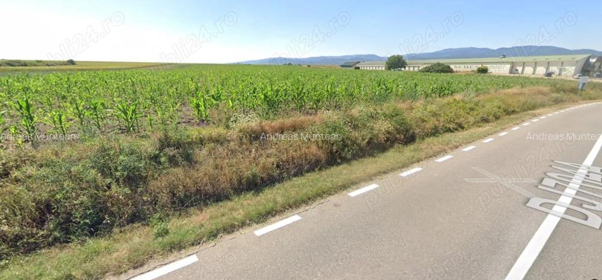 Teren Intravilan Pianu de Jos, DJ704A, Jud. Alba, 5,8ha PUZ industrial - 4