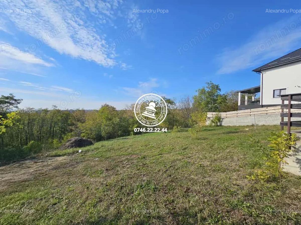 Casa Parter Valea Lupului , 155mp utili,1550mp teren + padure - 3