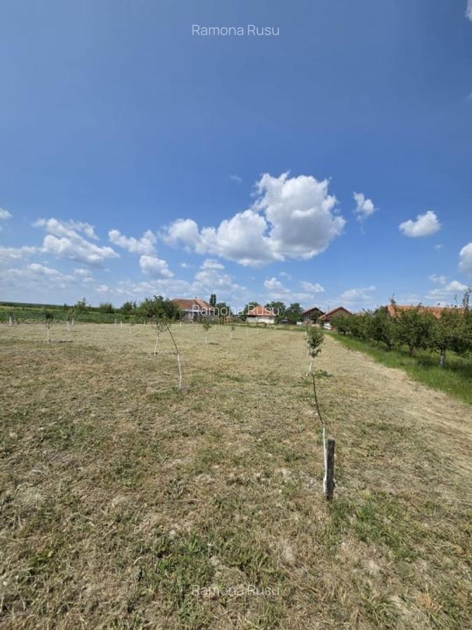Casa  cu teren de 40 ari in localitatea Gelu - 4
