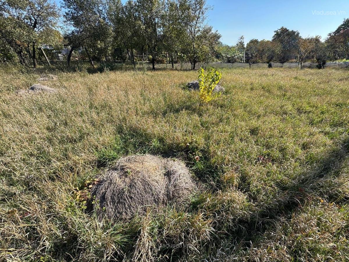 Oferta! teren in zona Mehala - 3