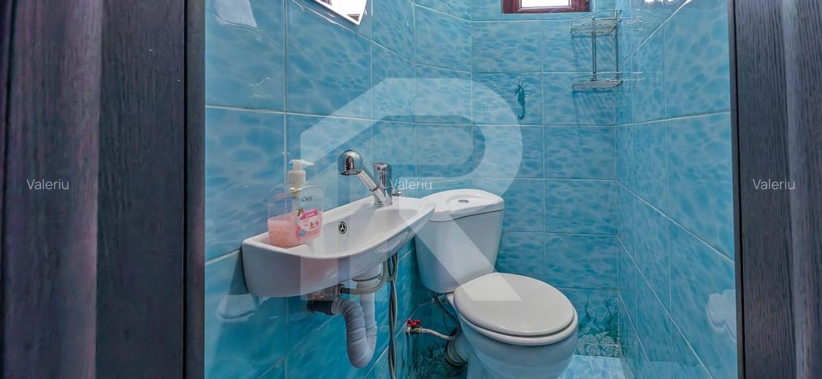 Zona Ferdinand apartament in vila - 13