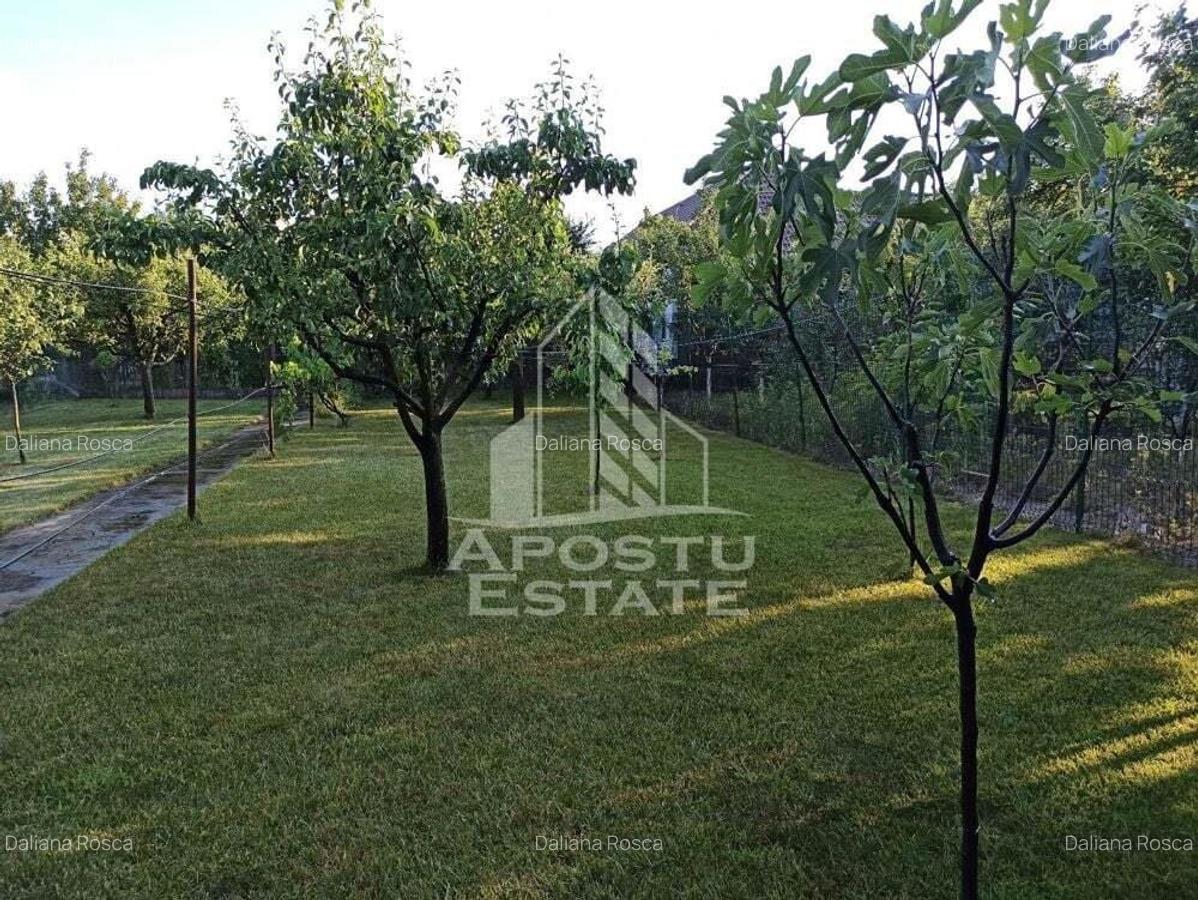 Casa 5 camere, curte, gazon livada in Gradiste - 11