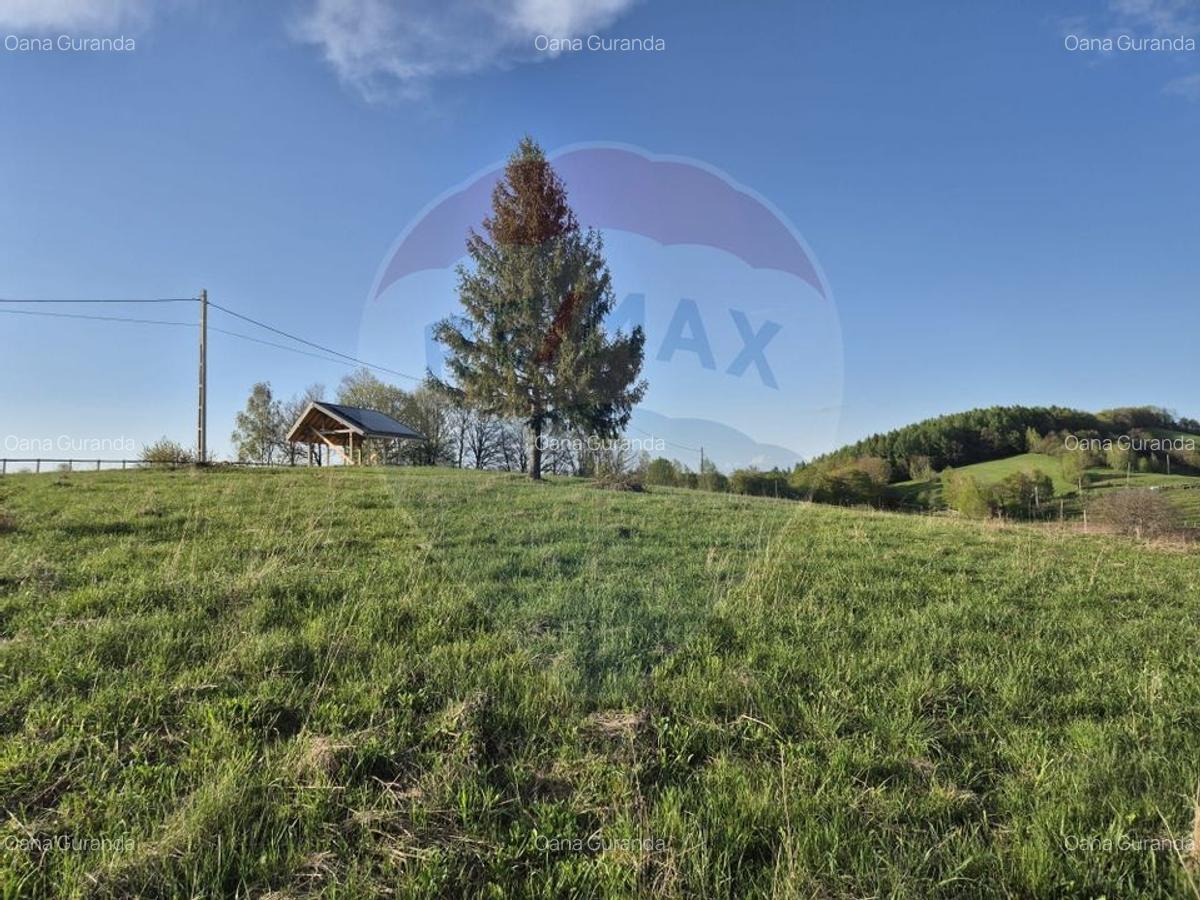 Teren Construcții intravilan de 11600 mp, în Poiana Mărului - 19