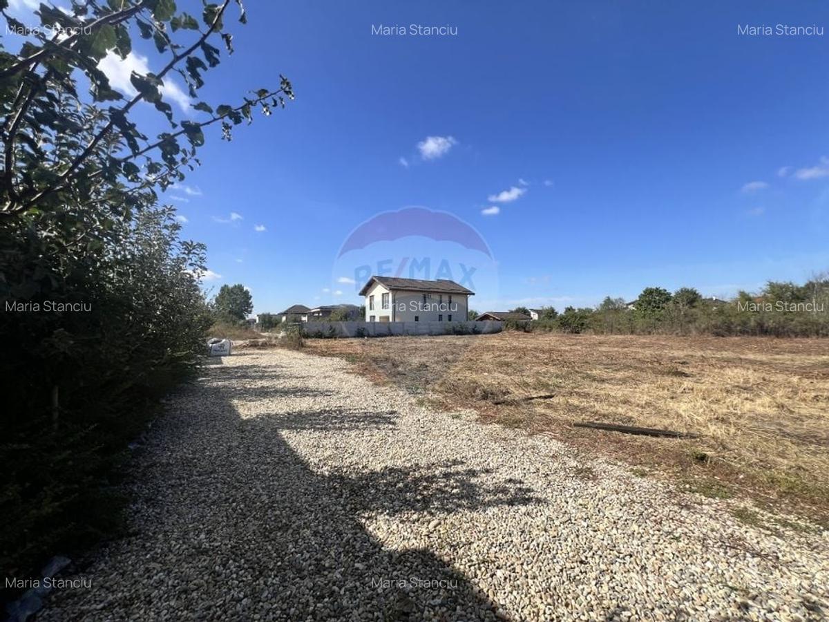 Teren ideal pentru casa de vis in Mogosoaia - 849,3 mp, cu utilitati i - 9