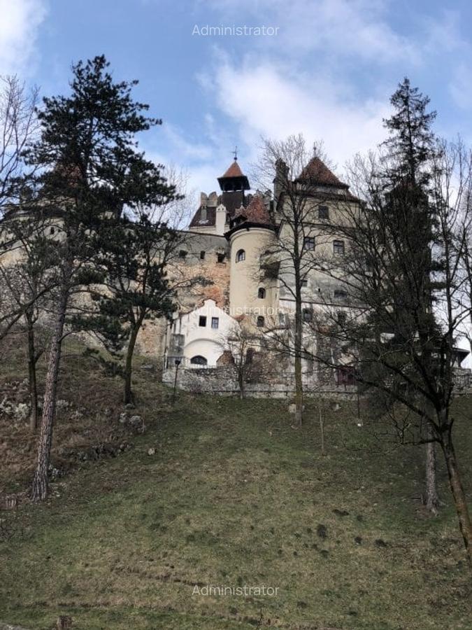 Teren investiție, 3879 mp în Bran - 3