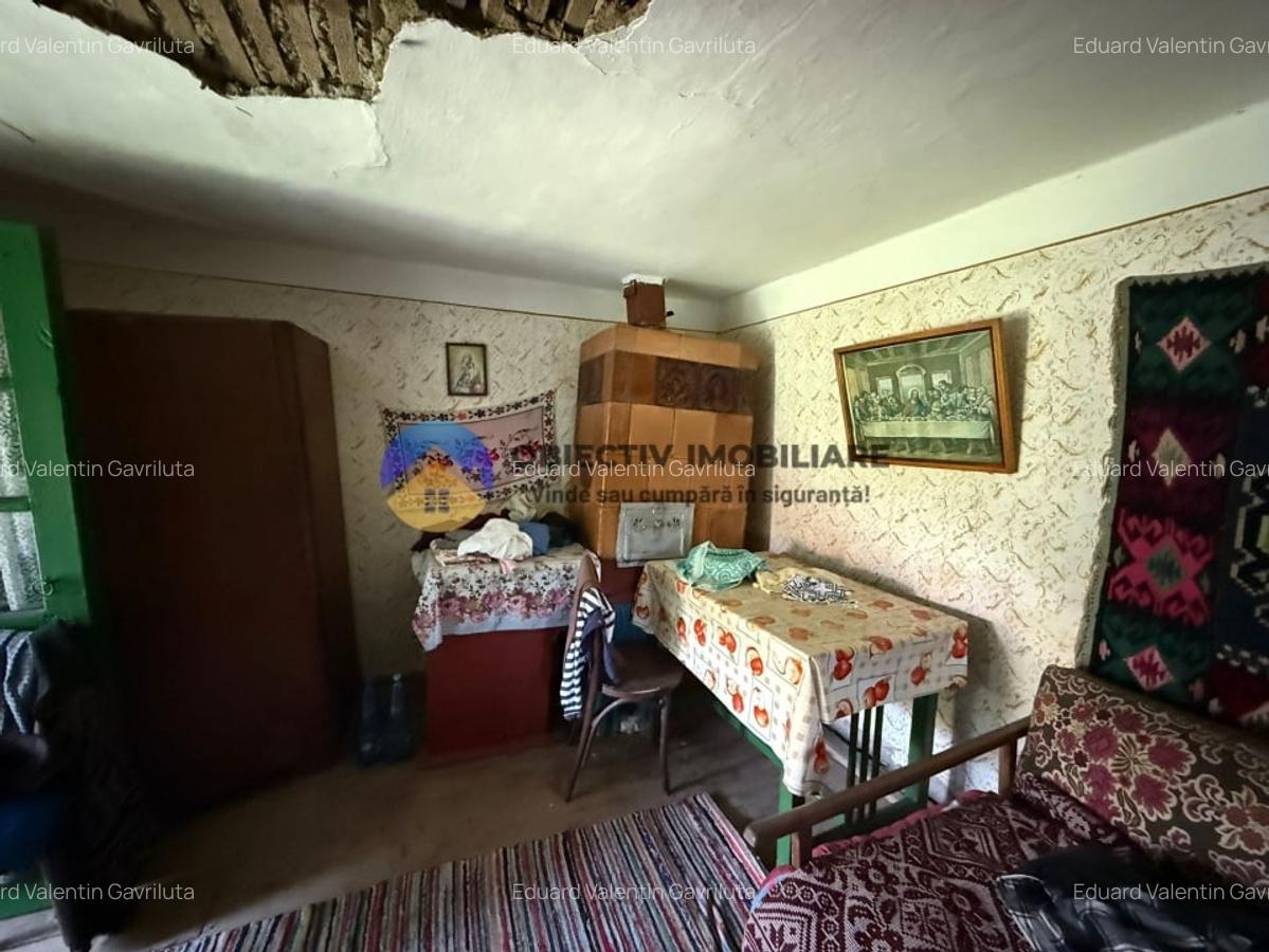 Casa batraneasca / Piatra Neamt / Pentru iubitorii de natura - 19