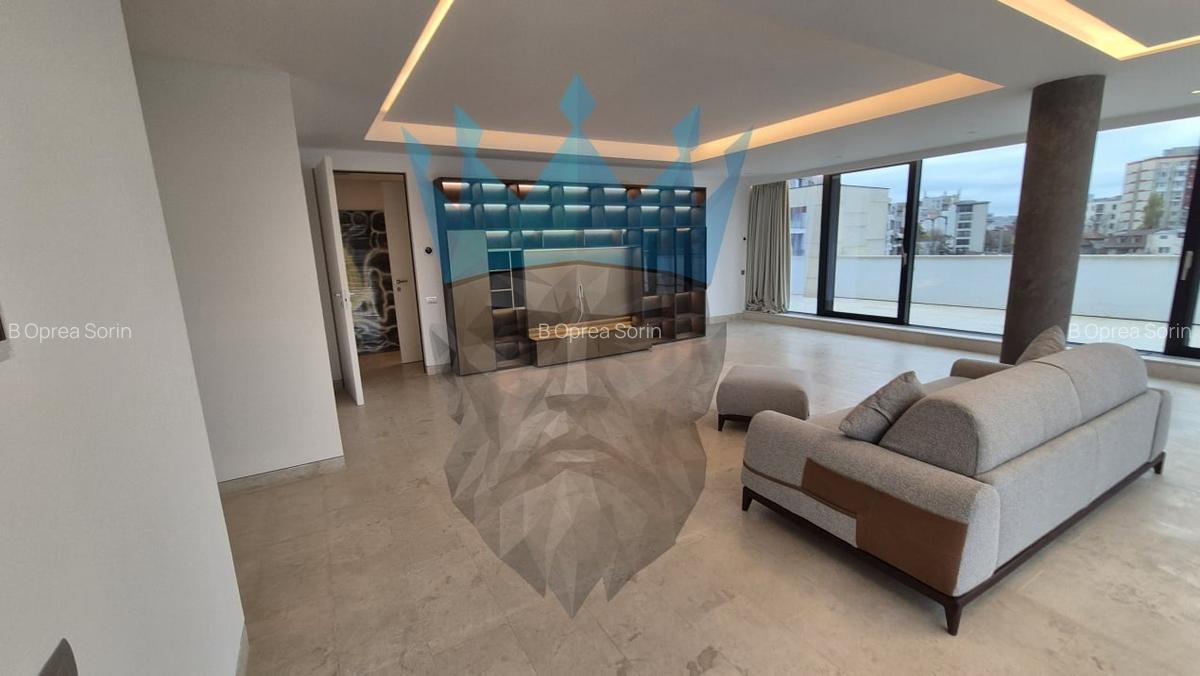 Penthouse 4 Camere Kiseleff Bucuresti - 2