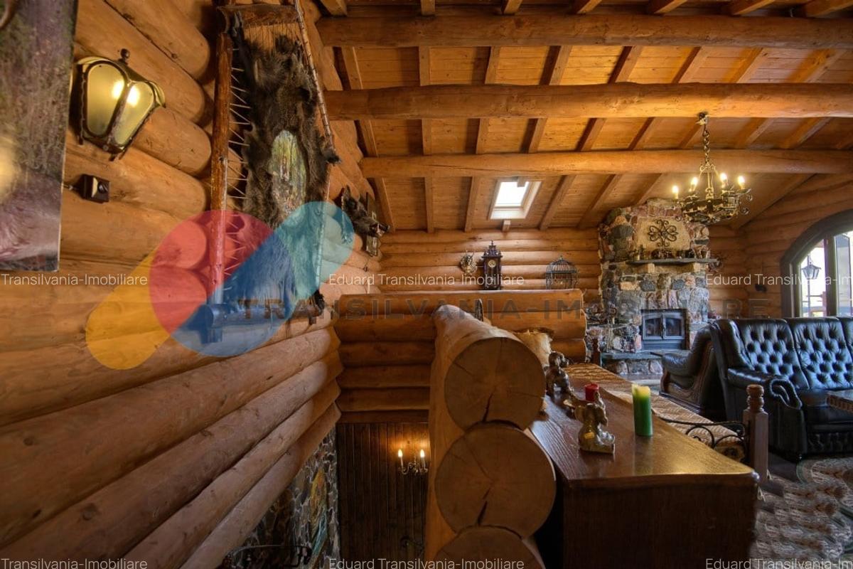 Complex  Printesa din Carpati  - Oportunitate de Investitie Unica pe Valea Aries - 13