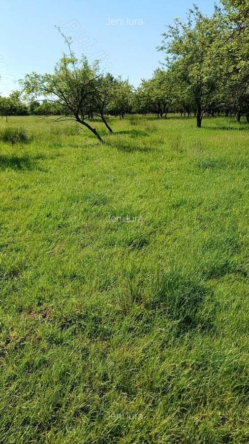 REDUCERE DE PRET! Teren in zona Sub Dura ,40 ari pentru constructii industriale - 2