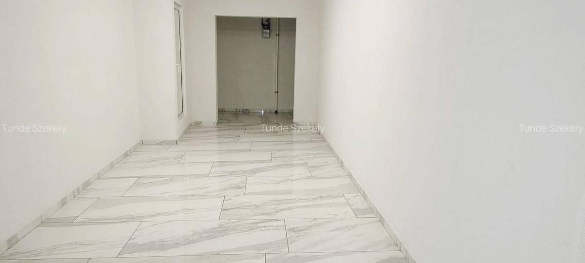 Apartament 2 camere, 54 mp util, et.1/5, ultrafinisat, Andrei Muresanu - 10