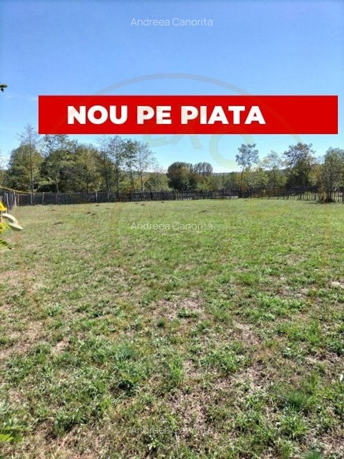 Teren intravilan de vanzare in Berevoiesti, Arges - 2542 mp -raul Bratia! - 3