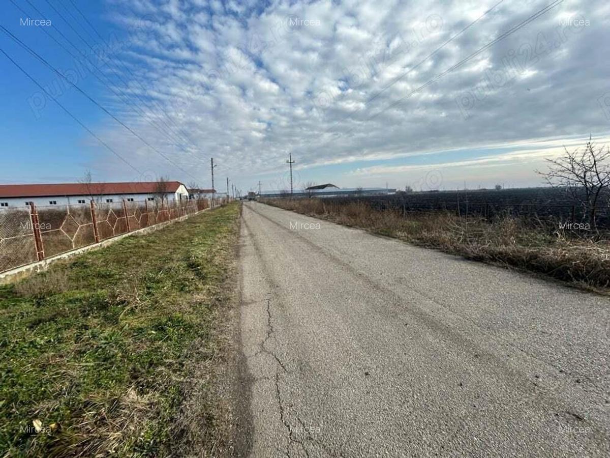 Vand teren intravilan,zona industriala,st.16,8 ha. + 8 ha.agricol,in Sanicolau Mare, la DN6,la sosea - 6
