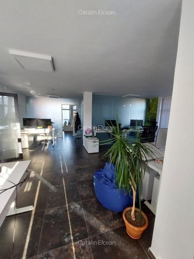 Casa individuala, ideal sediu firma in Andei Muresanu - 8
