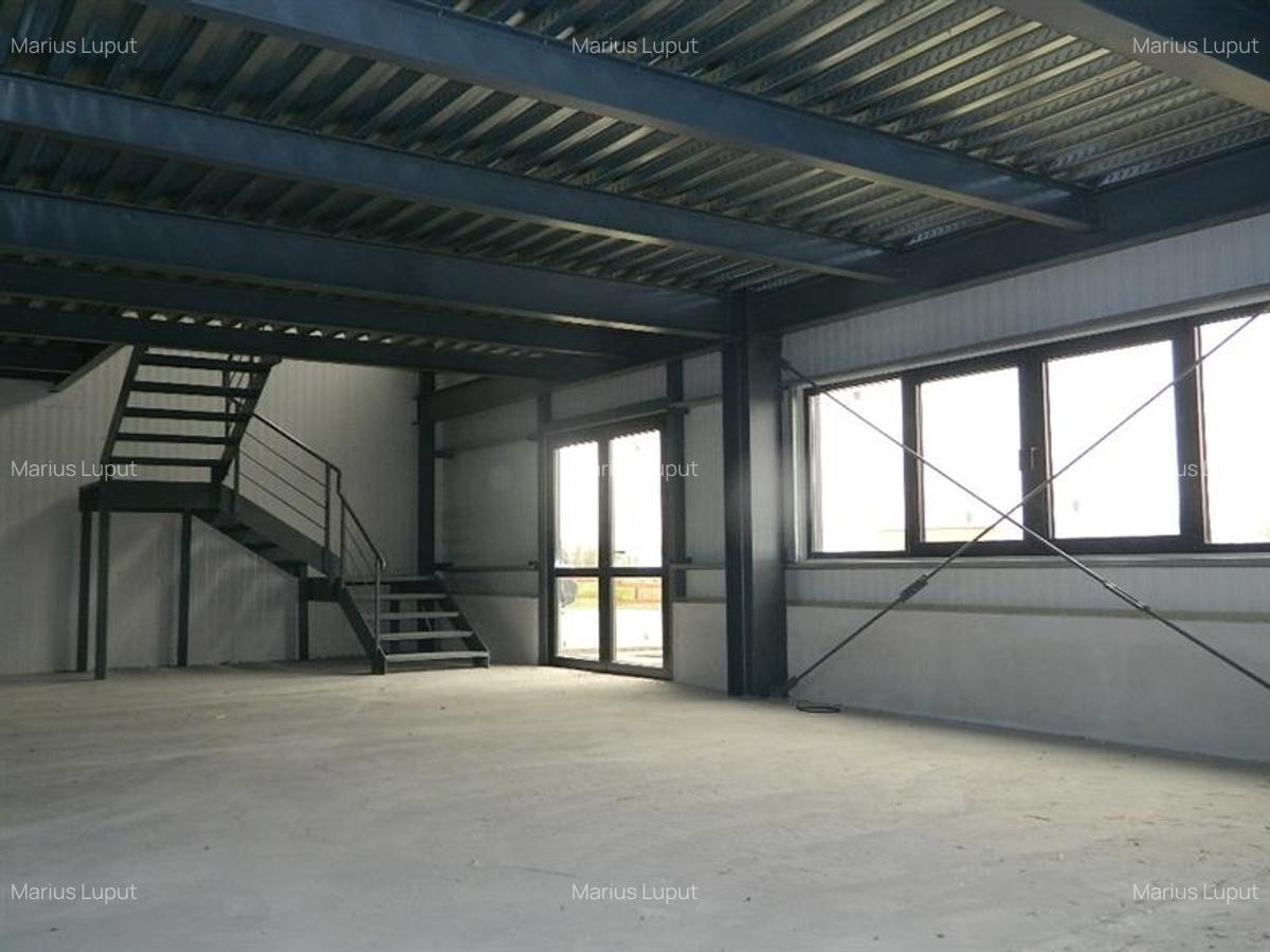 Spațiu industrial, 1000 mp în Torontalului - 7