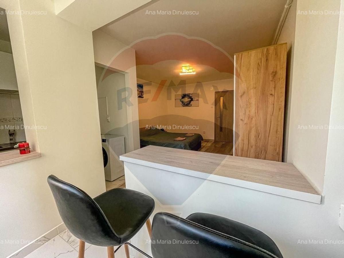 Garsoniera mobilata si utilata, PET FRIENDLY,  zona Garii! - 4