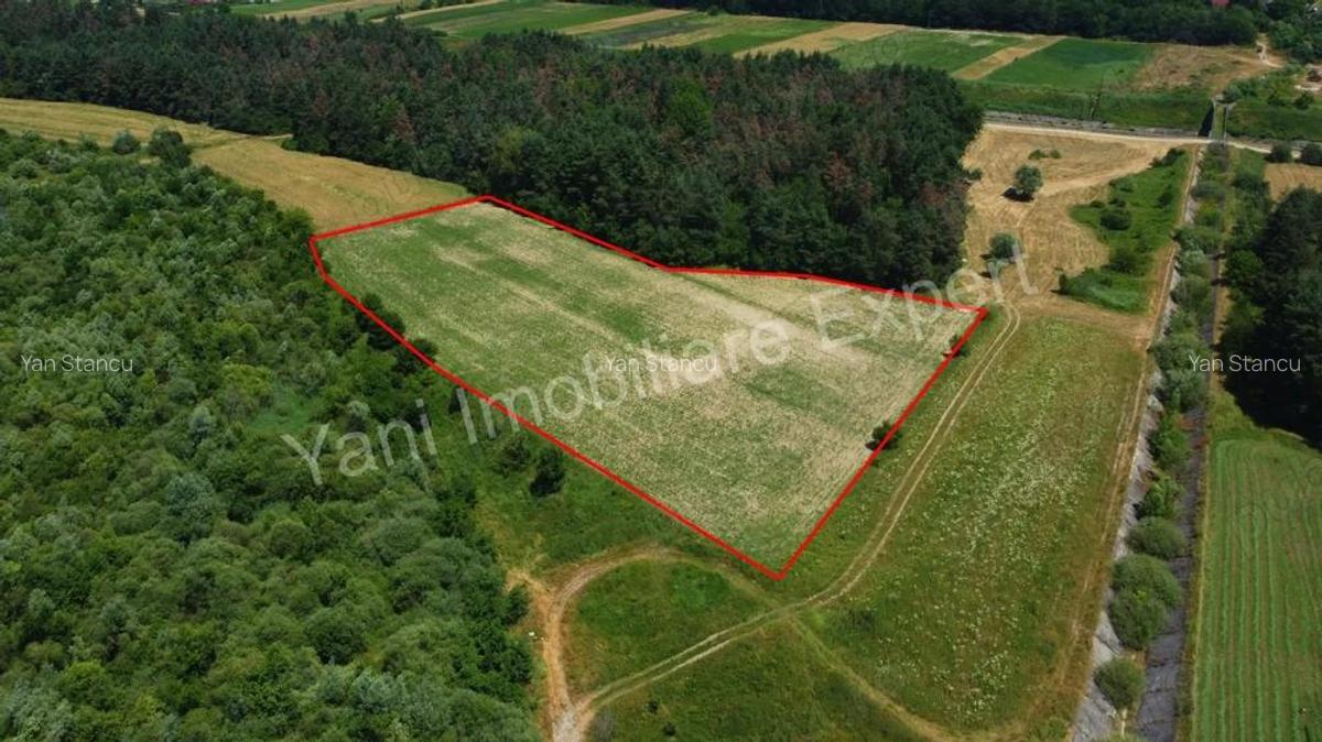 Teren de vanzare in comuna Baicule?ti, Judet Arge?. - 7