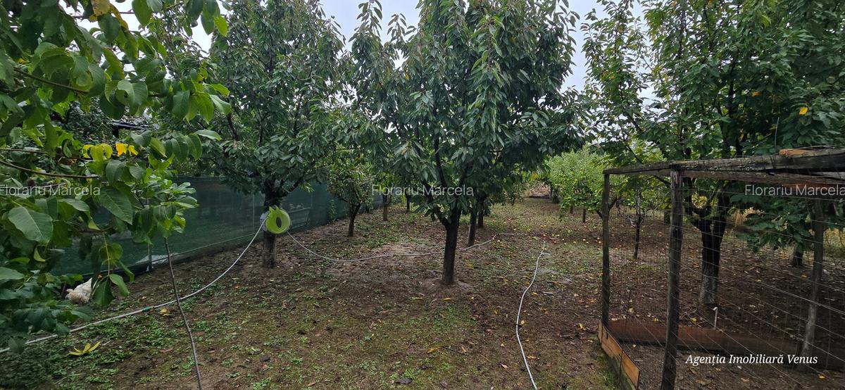 Casa la cheie in Manastirea Doamnei - 4