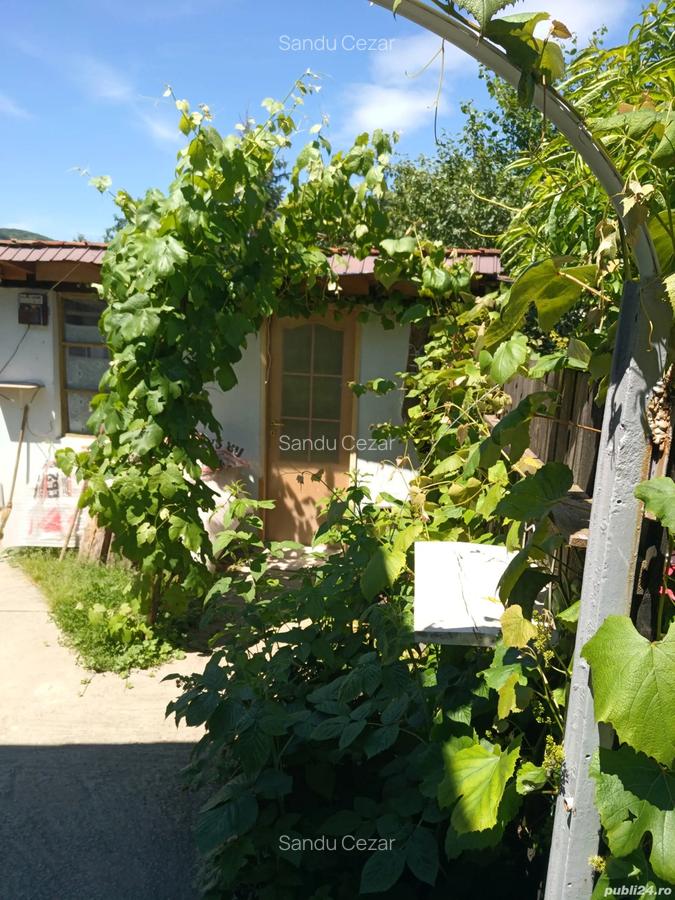 Case de vinzare confort apartament - 4