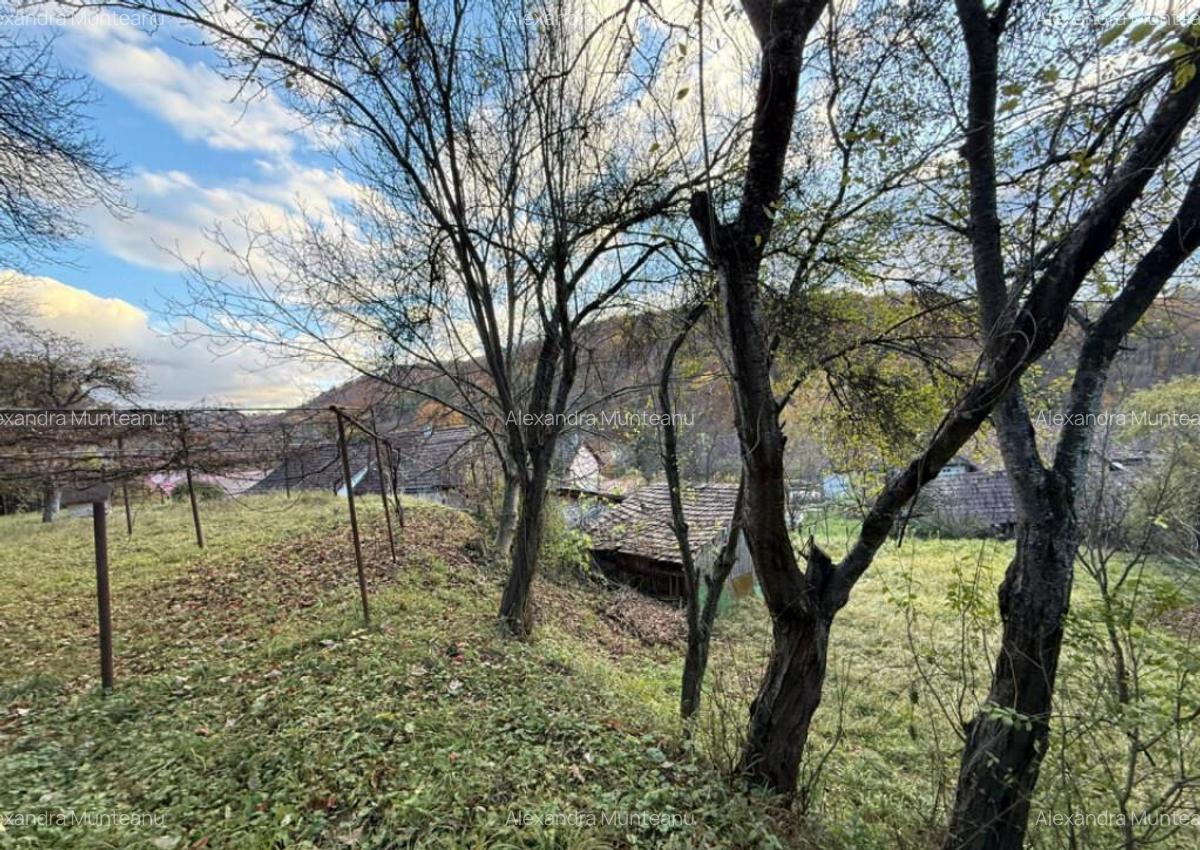 Casa 3 camere + teren 912mp zona Caraiman - 29