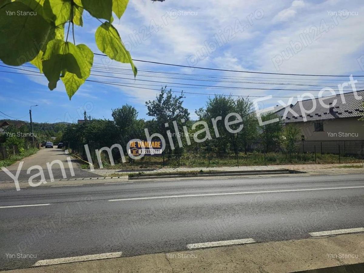 Teren de vanzare in Curtea de Arge?. - 6
