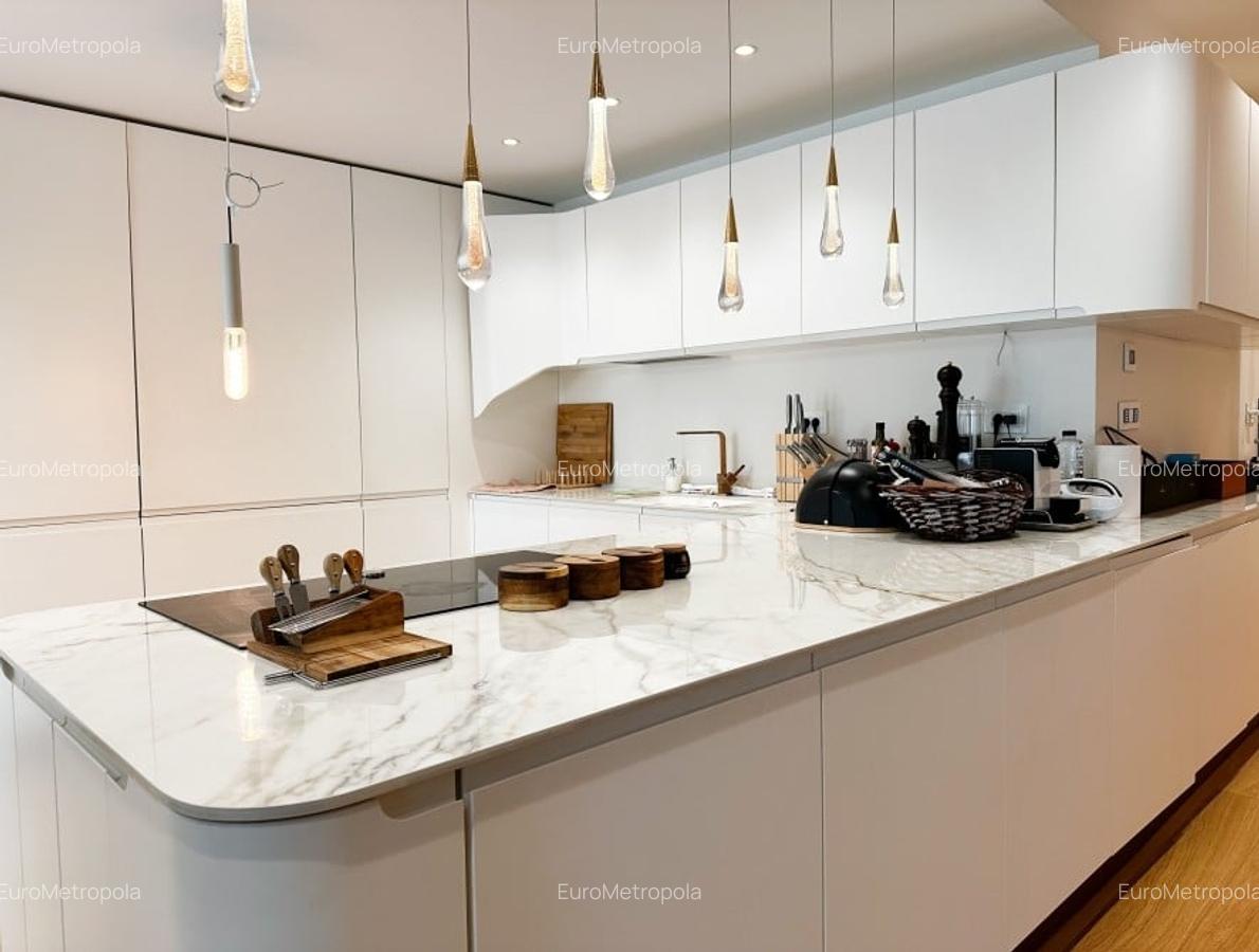 Apartament cu gradina 180mp Kiseleff - 2
