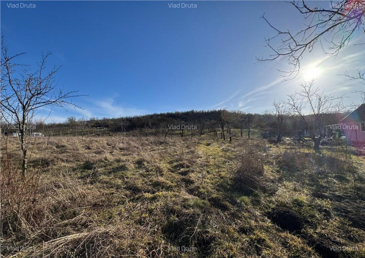 RECO Teren intravilan 2460 mp Santelec - 2