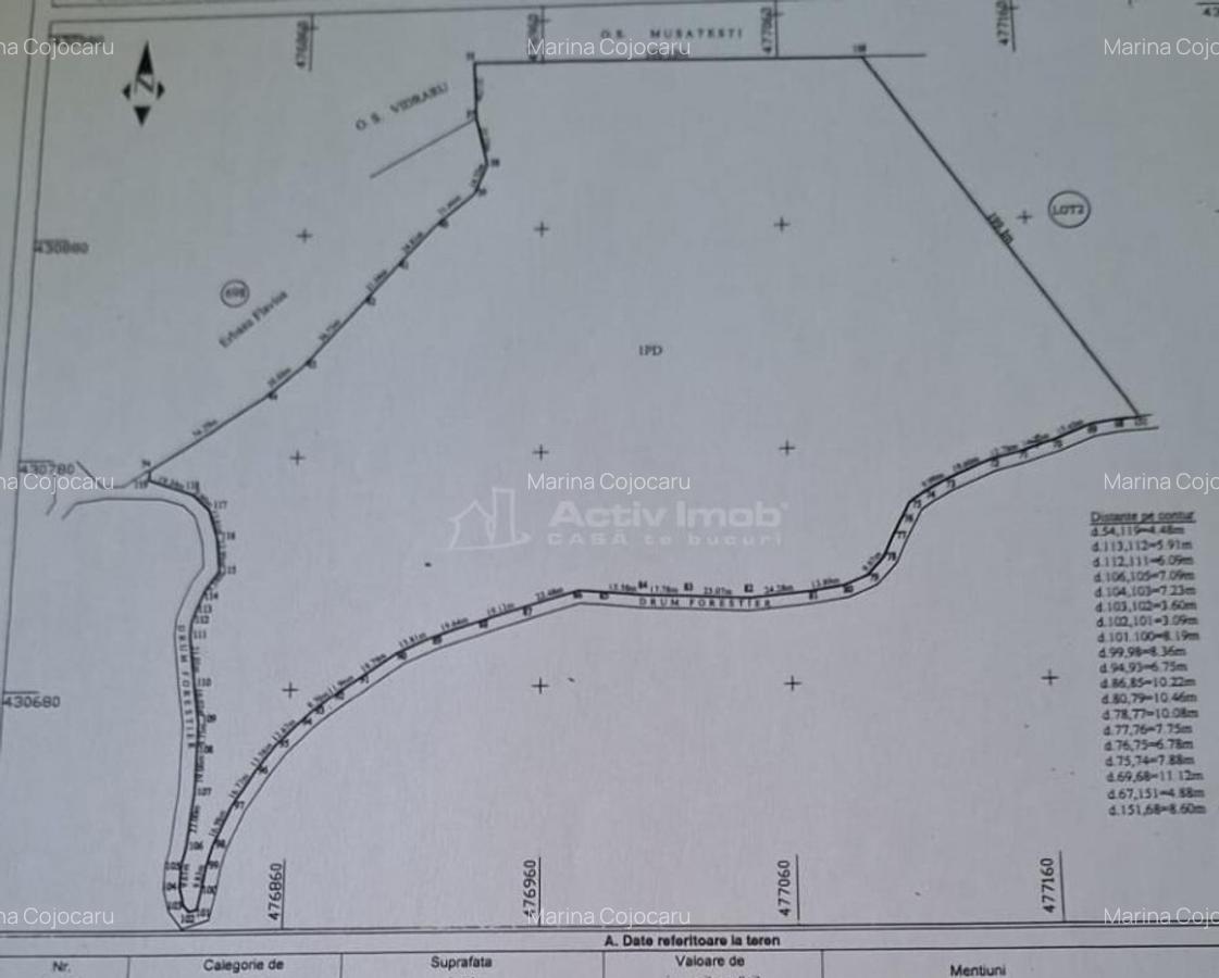 Teren 7 ha, Lac Vidraru, Podis Molivis - 16