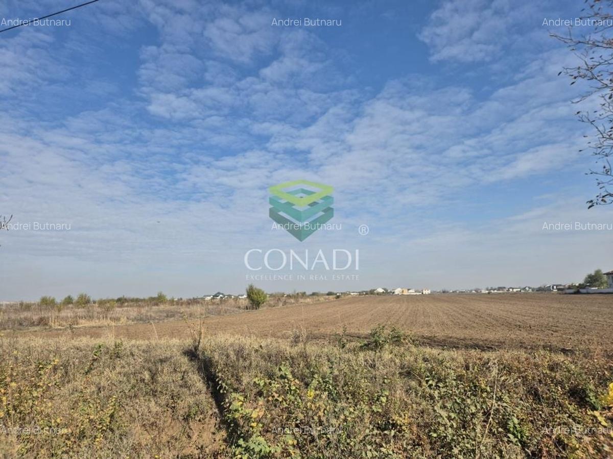 Otopeni  -Teren cu PUZ in curs de aprobare - 13.518 mp - 3