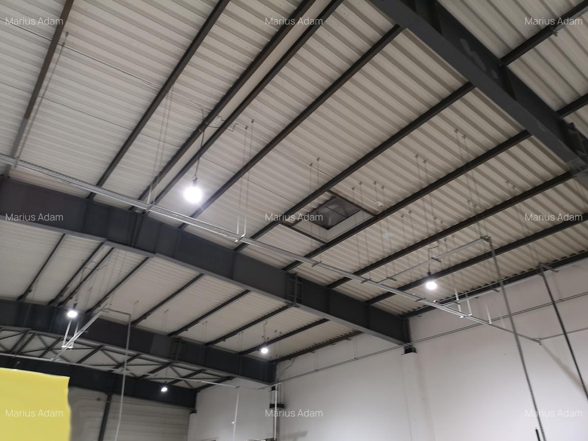 DEPOZIT SI BIROURI - PARC LOGISTIC - 4