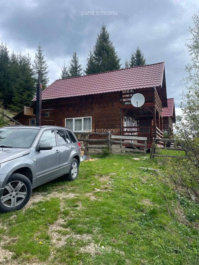 Cabana Muntele Baisorii - 4