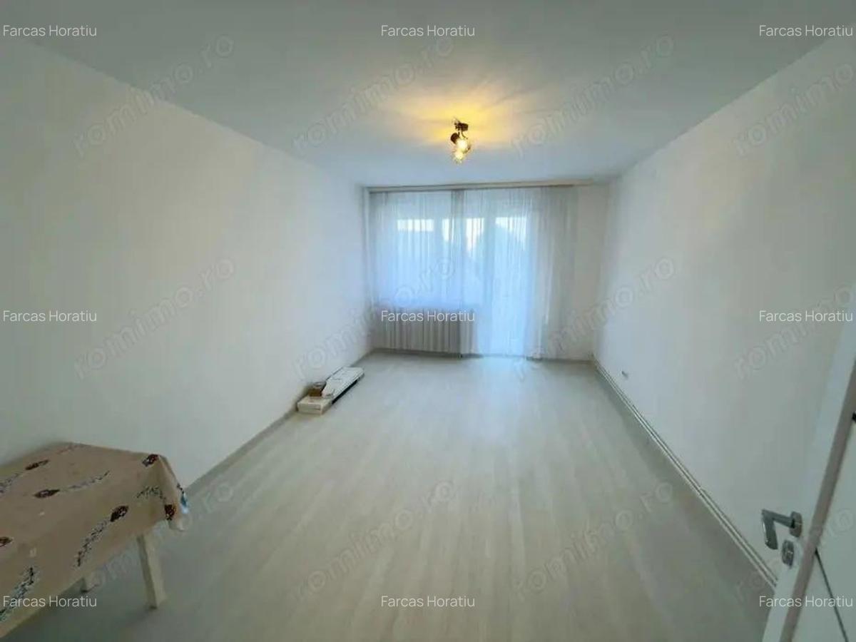 Cornisa - Inchiriere apartament 2 camere - Str. Argesului - 3