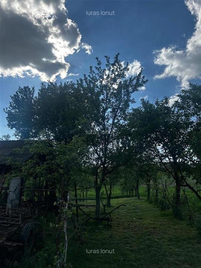 Reco, Casa cu teren, Lugasu de Sus, la 32 km de Oradea - 7