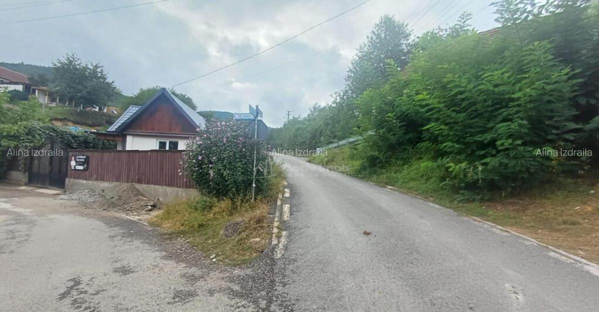 Casa de in Saliste aproape de Transalpina - 10