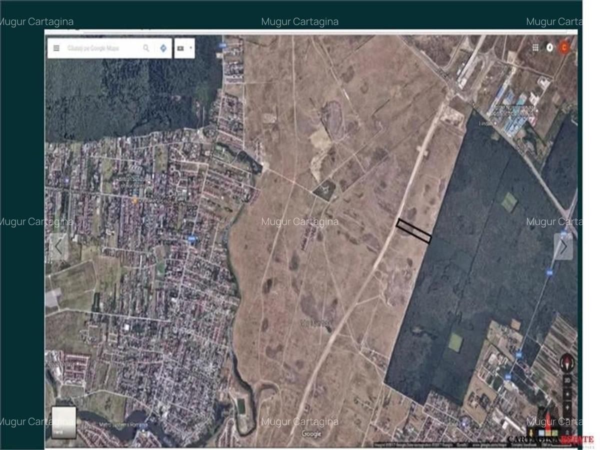 TEREN INTRAVILAN 10.000MP / FS 30ML - MILLO PRELUNGIRE - 2