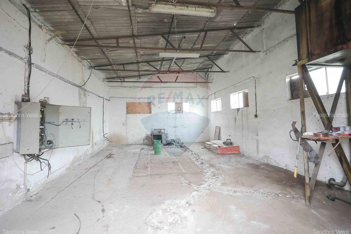 Spațiu industrial, 800 mp în Tilecuș - 2