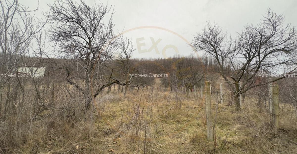 0% Comision Teren intravilan 814 MP-Stefanesti-Valea Mare Po - 2
