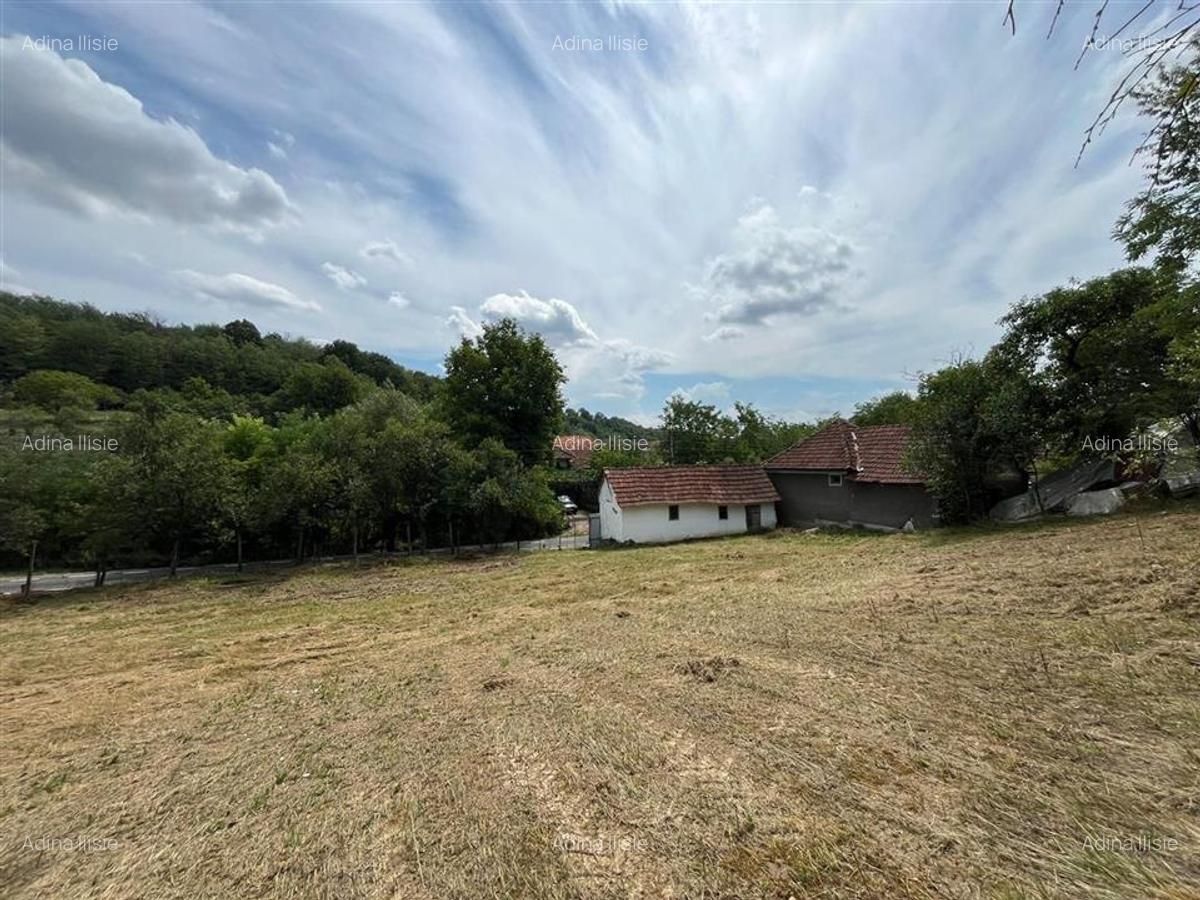 RECO Casa batraneasca cu teren generos la Lupoaia -Holod - 19