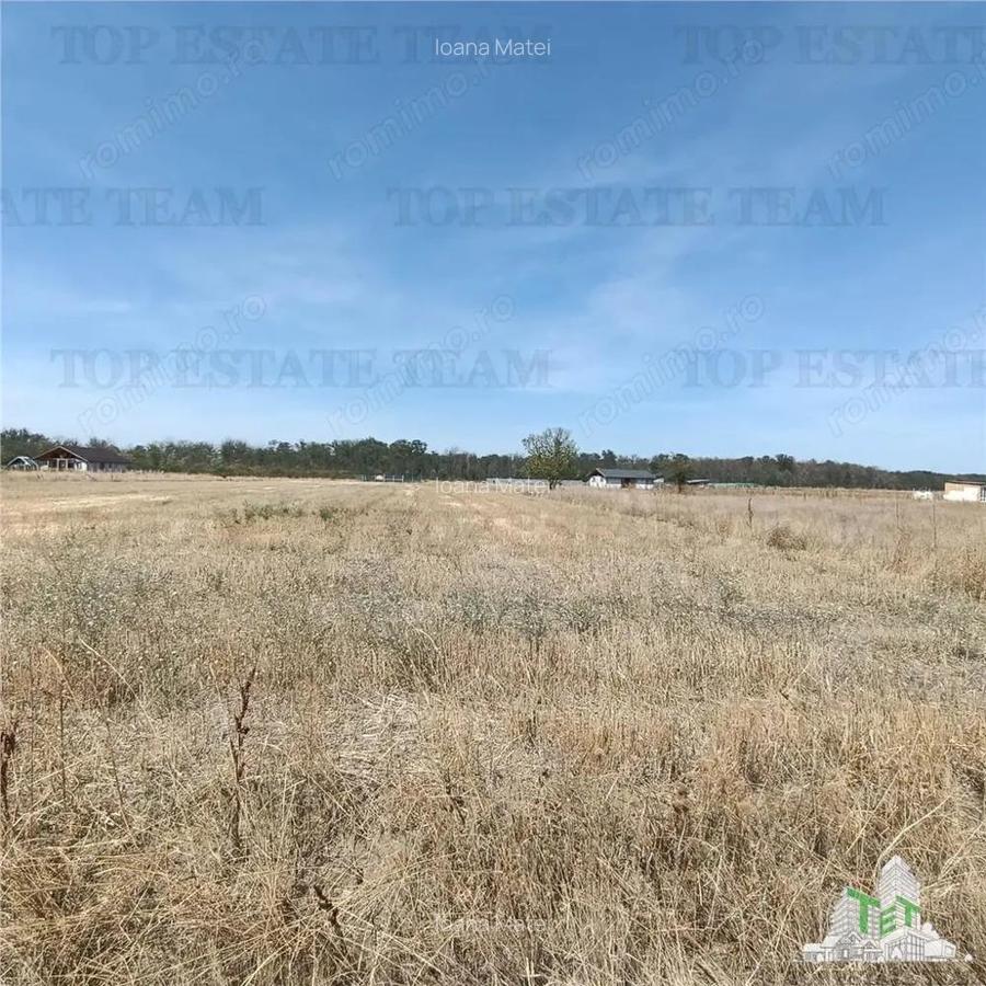Teren intravila de vanzare Pruni Magurele - 3
