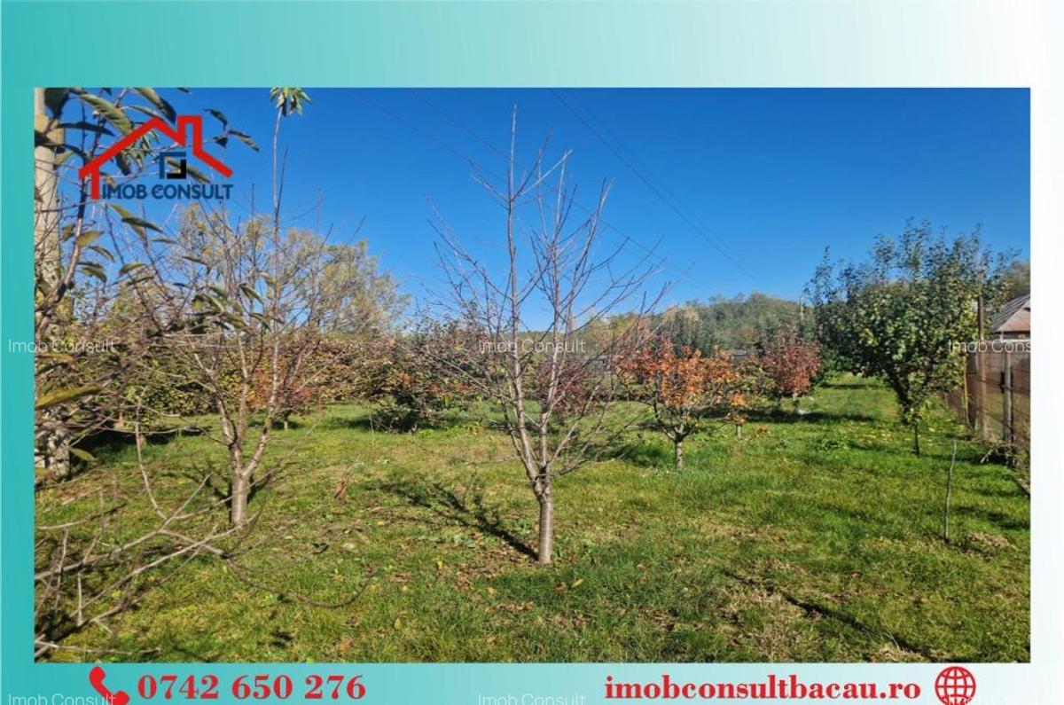 Casa parinteasca se vinde! CE1353 - 12