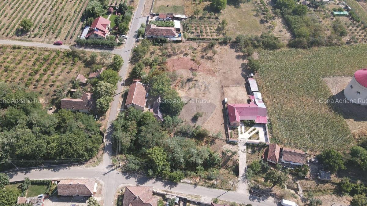 Teren pentru casa in Siria pe Soseaua spre Cetate - 6