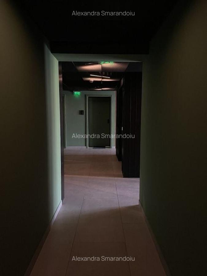 Loft spectaculos în complexul exclusivist Brick Loft - Intrarea Chefalului - 23