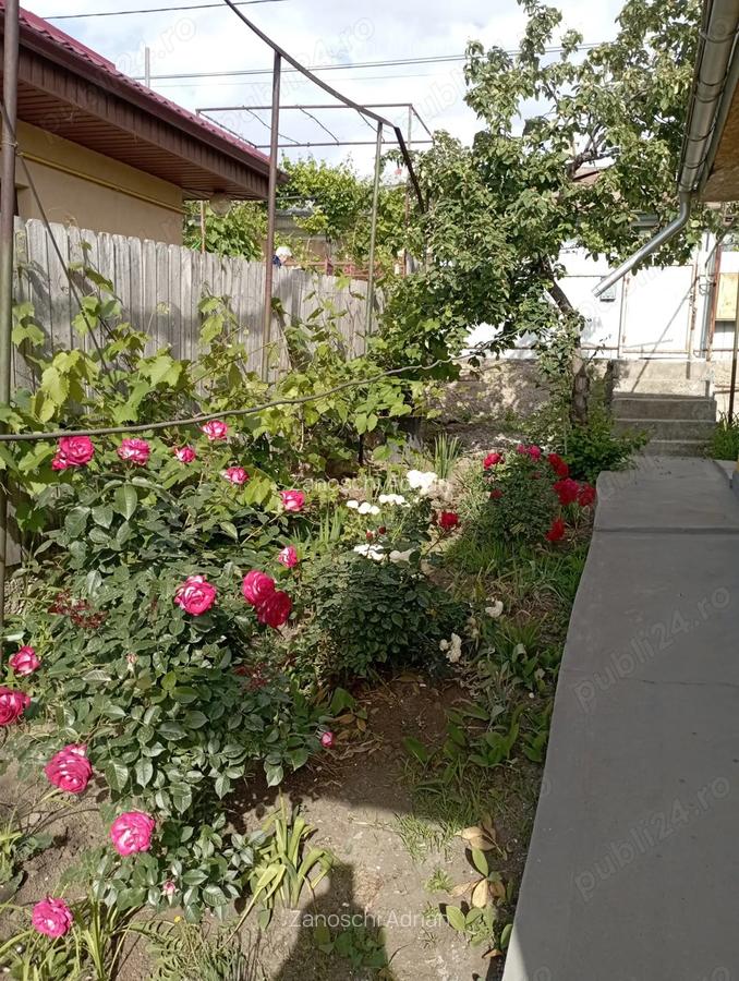 Casa de vanzare, cartier Tuguiata, renovata recent. - 9