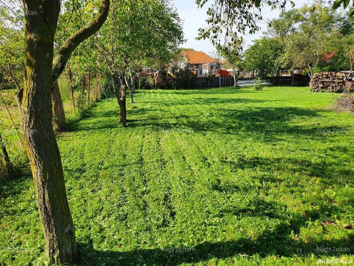 De vanzare casa Ortisoara - 2