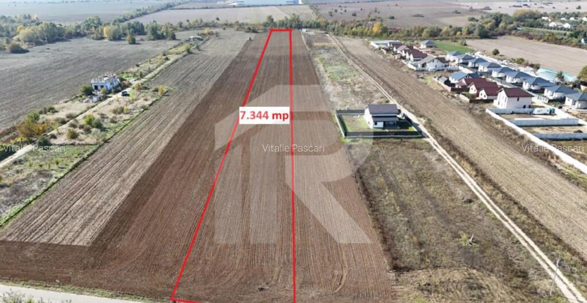 JOITA LOT 7344 MP - 7